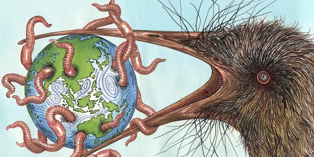 Illustration / Anna Crichton