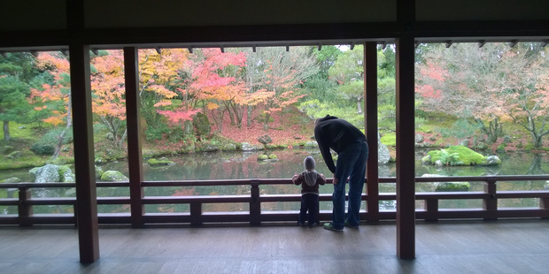 Looking over the Japanese Garden of Contemplation at Hamilton Gardens. Photo / Gretchen Carroll