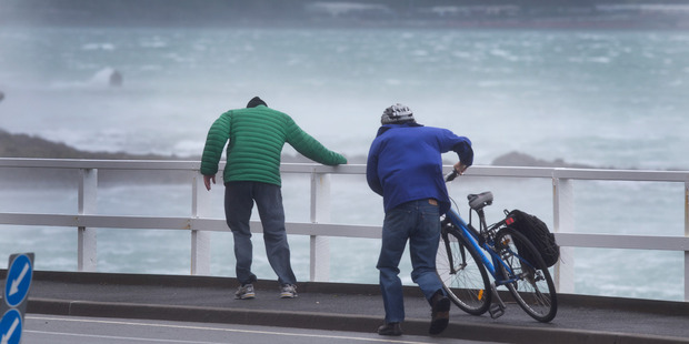 Northerlies may turn to gales tomorrow in Wellington. Photo of Evan Bay Parade / Mark Mitchell
