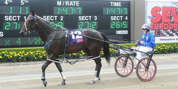 Mark Purdon says Have Faith In Me can smash big sister Adore Me's Australasian mile record to win the A$750,000 Miracle Mile. Photo / NSW Harness Racing Club