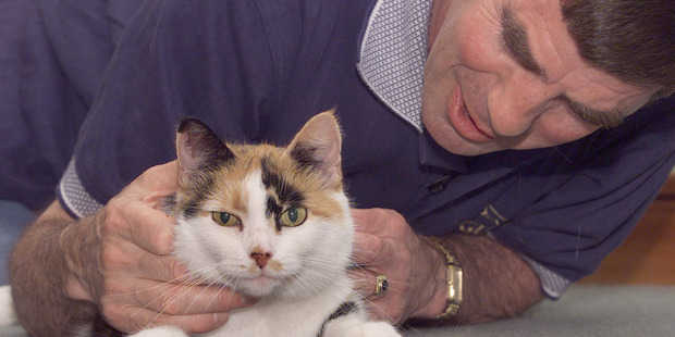 Globetrotting Port Taranki cat Colin's was accompanied home by employee Gordon MacPherson. Photo / NZ Herald