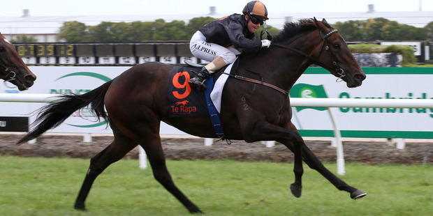 Valley Girl takes out the $300,000 Herbie Dyke Stakes at Te Rapa on Saturday. Photo / Trish Dunell