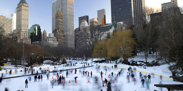 Central Park set a record for its lowest recorded temperature. The polar vortex was so intense the city had to collect all of New York's homeless people. Photo / iStock