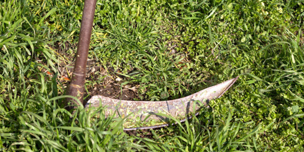 The woman reportedly used a sickle to cut off her alleged rapist's genitals. Photo / iStock