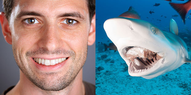 Scientists have said that 'regenerating teeth will happen'. Photos / iStock