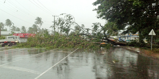A fallen tree blocking the road in Nakasi, the main stretch connecting Suva and Nausori this afternoon. Photo / Jonacani Lalakobau, Fiji Times