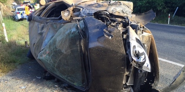 Police are calling for witnesses to the crash near Ngaruawahia in the early hours of this morning.