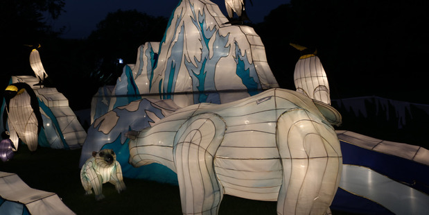 The handcrafted polar bear cub lantern disappeared at the end of the Auckland Lantern Festival. Photo / Supplied