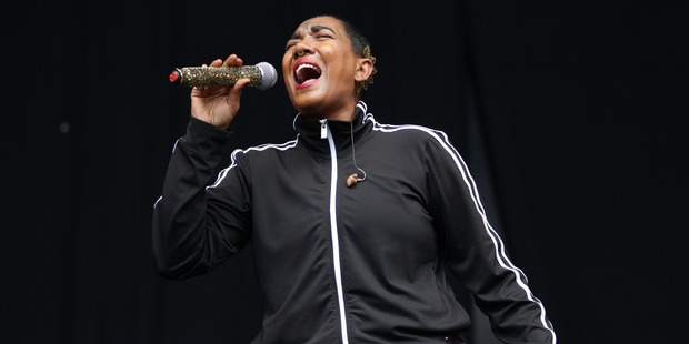 Raggamuffin Music Festival at Trust Stadium, Auckland. Photo / Doug Sherring