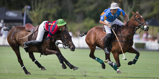 Edmundo Tigers polo rider Jauno Bestof, left, in action against the Tiger Building Dirk van Reenen during the final of the Veuve Cliquot Polo Open Clevedon. Photo / Brett Phibbs