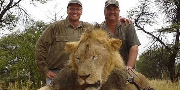Walter J Palmer Walter Palmer and Cecil the lion that he killed on a hunt in Zimbabwe. Photo / Facebook