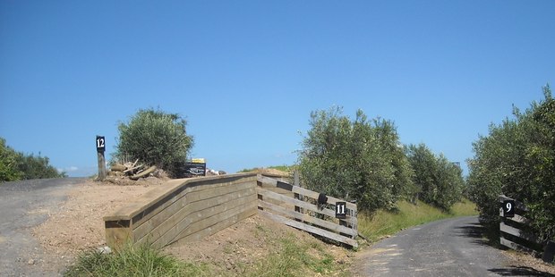 Briar Ross sent the Herald a photo of Marc Ellis' driveway today which appeared to show it is complete. Photo / Briar Ross