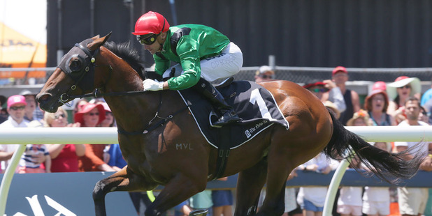 Gasoline is revved up for the $50,000 Reid & Harrison Slipper tomorrow.Picture / Trish Dunell