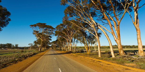 The three were killed in the Eastern Wheatbelt region. Photo / iStock