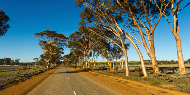 The three were killed in the Eastern Wheatbelt region. Photo / iStock