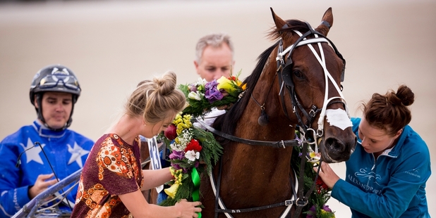Have Faith In Me won the Auckland Cup last year but has suffered several setbacks since. Photo / Dean Purcell