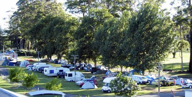The alleged sex attack happened at the Showgrounds Campground on New Year's Day. Photo / Supplied