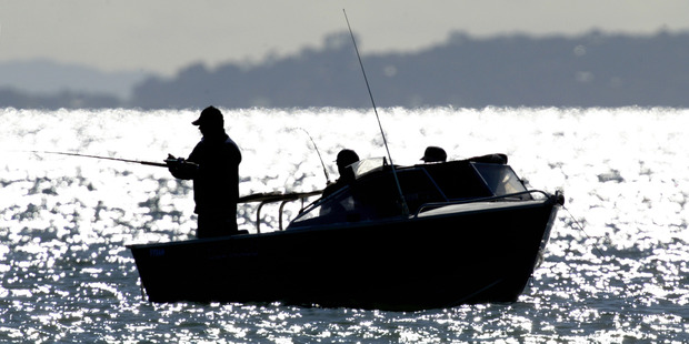 Government promises to create recreational fishing parks in the Marlborough Sounds and the Hauraki Gulf have failed to gain traction. Photo / Brett Phibbs
