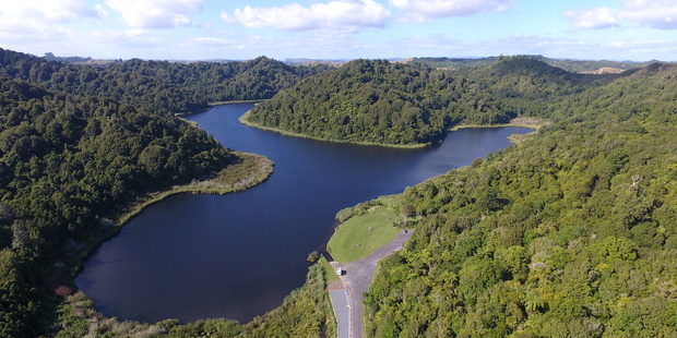The kiwi were released into the Rotokare Scenic Reserve