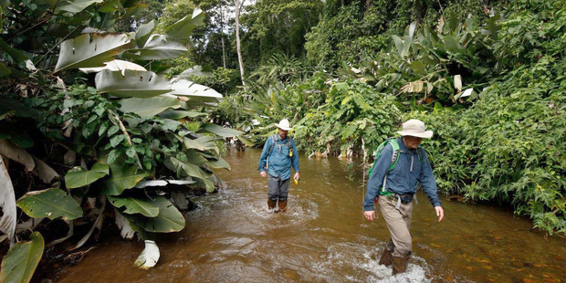 Chris Fisher, the expedition's chief archaeologist, follows author Douglas Preston along a river. Photo: Roberto Ysais / Washington Post