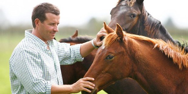 Mark Chittick of Waikato Stud. Photo / Amos Chapple
