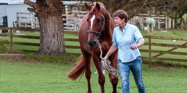 Jutta Rosenblatt puts Remi Lion King through his paces for the German inspector.