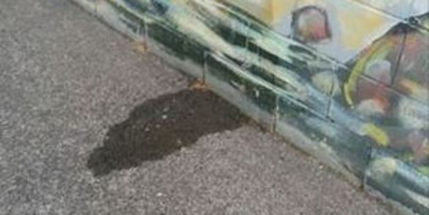 A bus driver pulled up next to a wall in Onehunga and urinated on a mural. Photo / Bryce Glover