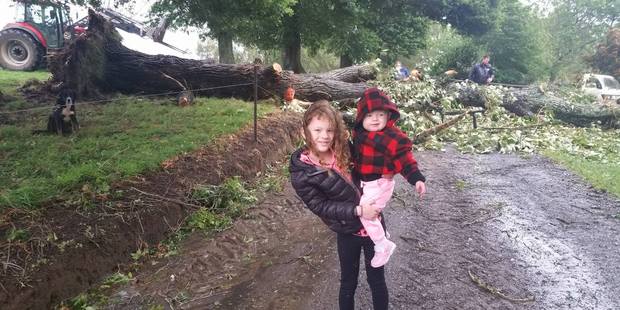 Estelle, 7, gets a day off school with her sister Ivy after a tree crashed down over their driveway in Rotoorangi, Waikato. Photo / Supplied