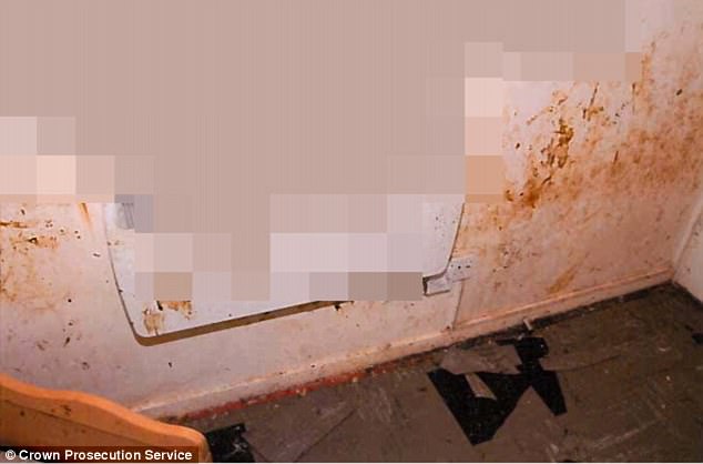Hand prints: Police have obstructed the image, which shows markings on the walls covered in faeces, to prevent the identity of the children from being revealed.