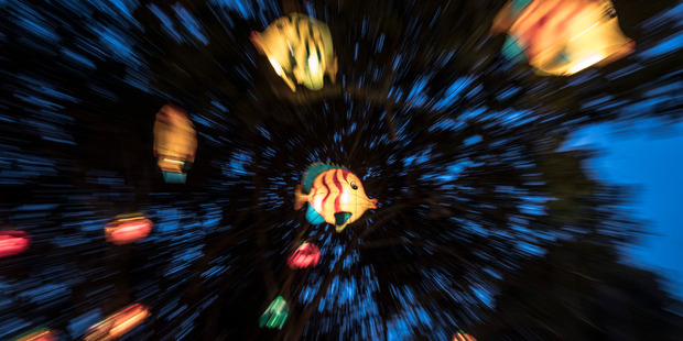 Auckland's Lantern Festival. Photo / Michael Craig