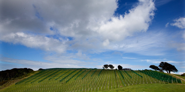The wine and beef industry have significant exports in the US which are now uncertain. Photo / Brett Phibbs