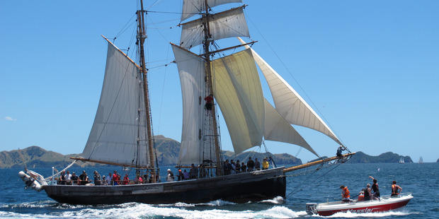 The training ship R Tucker Thompson, and the trust that operates it, has been named Northland's Sailor of the Year. PHOTO / PETER DE GRAAF