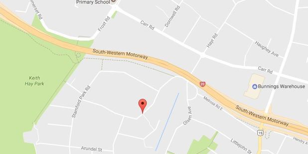 The aggravated robbery took place at a dairy on Melrose Rd in Mt Roskill, police say. Photo / Google Maps