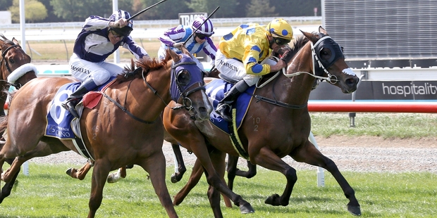 Fairlight runs in the Riccarton feature today. Photo / Race Images