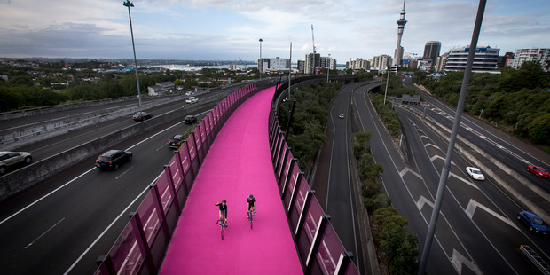 Government is spending $100 million to improve our city cycleways. Photo / Dean Purcell