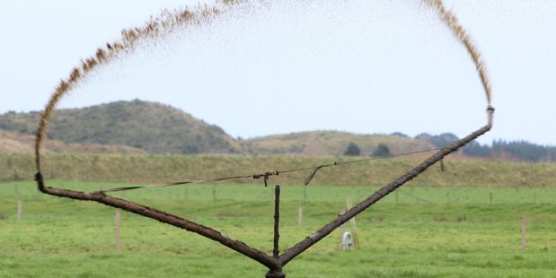 Effluent should not be irrigated on to saturated pastures as this risks contaminants getting into waterways. Photo / Mark Mitchell