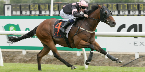 Pinzalot is far too good for the field at Te Rapa on Saturday. Photo / Racing Desk