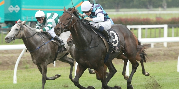 All Roads and Kelly McCulloch on their way to winning at Tauranga yesterday. Photo / Trish Dunell