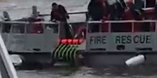 A man believed to be working for City Cruises helps in the rescue effort after Andreea Cristea plunged into the River Thames. Photo / Dailymail.com