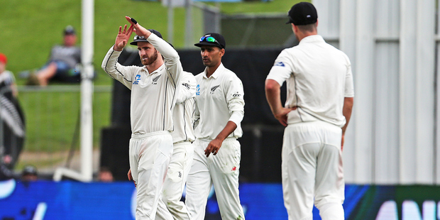 Black Caps captain Kane Williamson calls for a DRS review during the third test against South Africa. Photo/Photosport