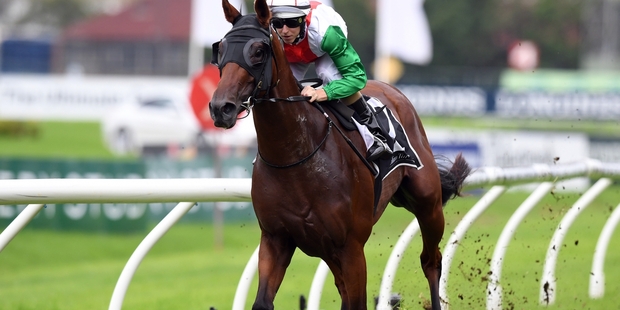 Jon Snow thrived in heavy track conditions in the Tulloch Stakes last weekend. Photo / AAP