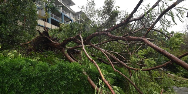 Cyclone Debbie made landfall near Airlie Beach around 12:40pm local time yesterday where some ignored warnings to stay inside. Photo / AAP