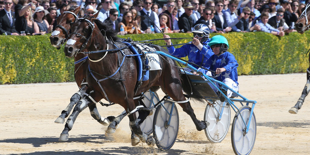 Ultimate Machete. Photo / Racing Desk