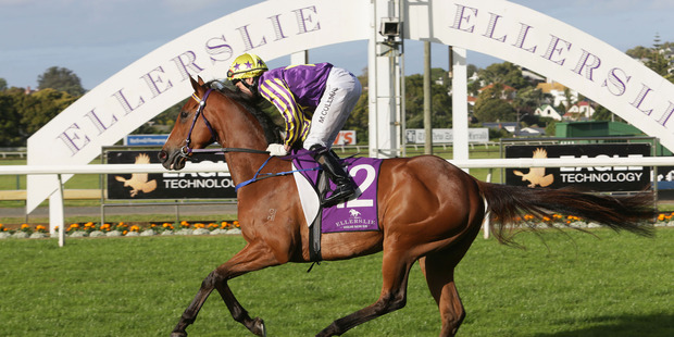 Stylish Attack has been a winner this campaign and she has subsequently bridged the gap to black type company. Photo / File