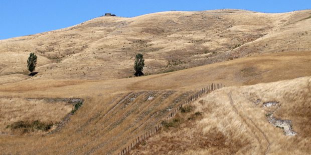 Droughts have also been a problem in New Zealand in recent years. Photo / Duncan Brown