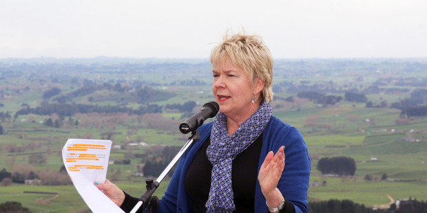 Associate Health Minister Nicky Wagner has been strongly critical of IHC.