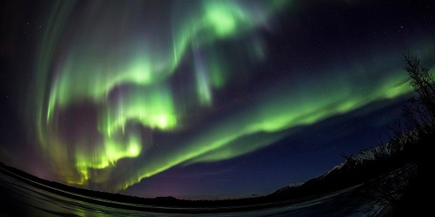 Alaska. Photo / Getty Images