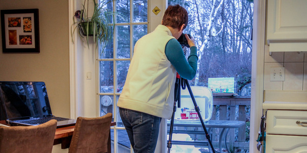Canadian photographer Nancy Rose builds tiny sets on her back deck to attract squirrels. She has published three books of her squirrel photos. A fourth is on the way. Photo / Courtesy of Nancy Rose