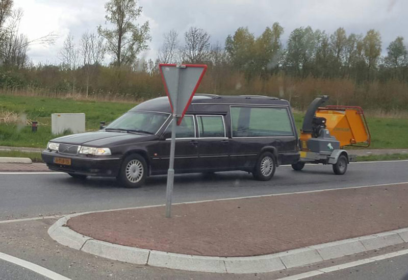 Burial, cremation or woodchipped?