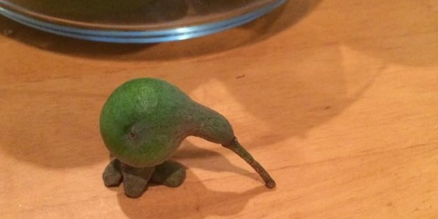 North Shore resident Evelyn Lukis got a surprise when she went to collect feijoas off her tree yesterday.